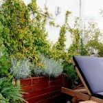 diseño de jardin moderno