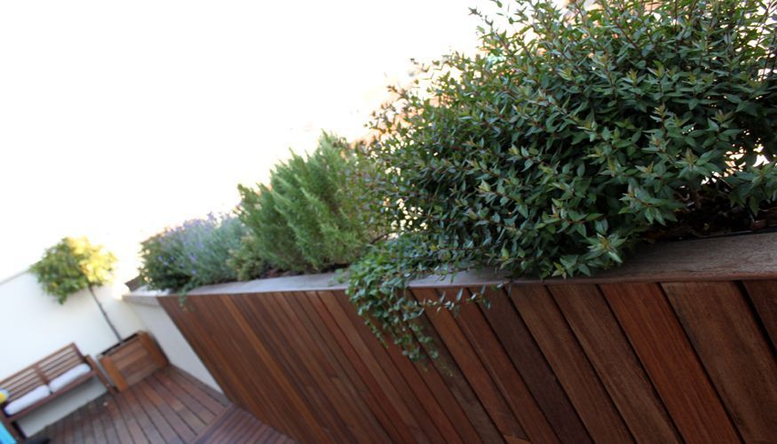 Detalle de jardín urbano en atico