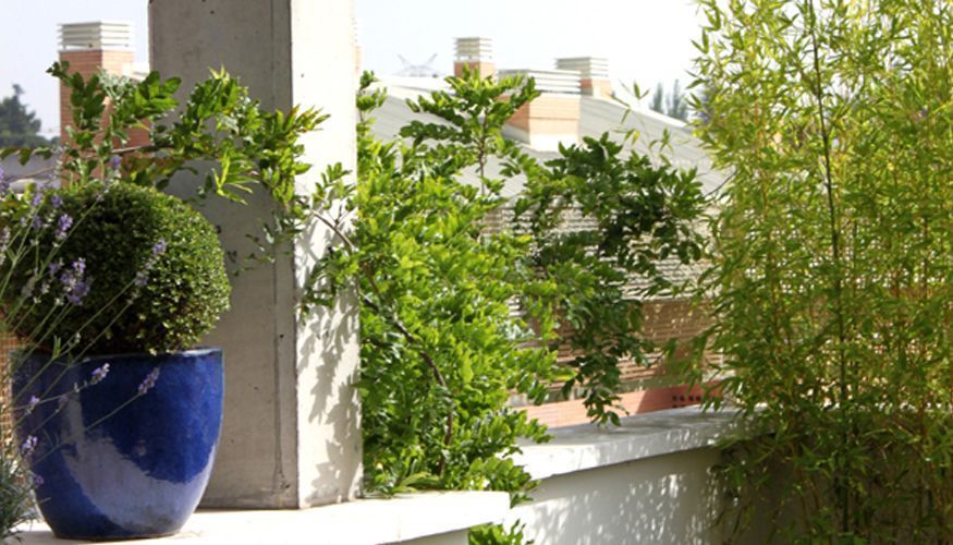 ideas y decoracion para terraza jardin