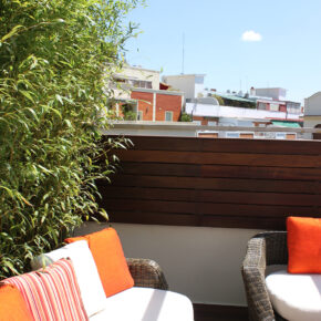 Bambú en terraza