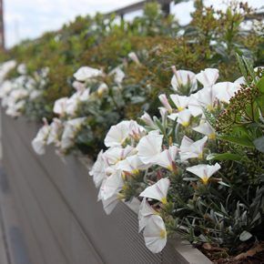 terraza para eventos en Madrid
