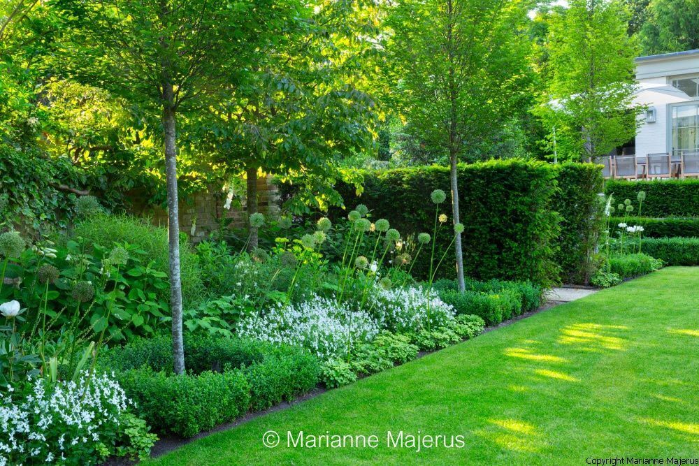 Jardín paisajista