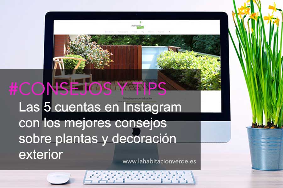 Consejos sobre plantas