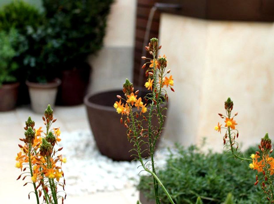 Jardin en patio con fuente