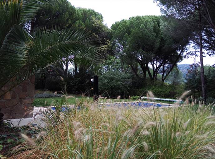 Jardin con piscina en la sierra de Madrid 1