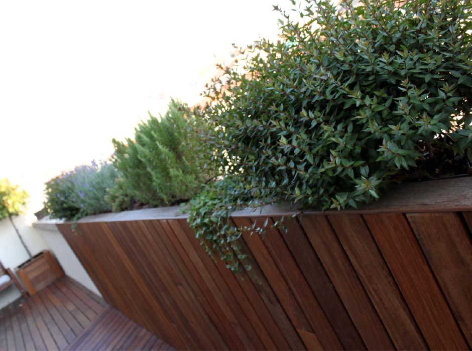 Jardin Terraza moderna en Madrid