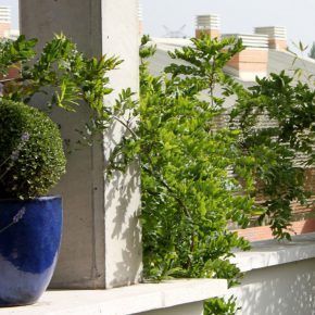 jardin-valdemarin-02-2022