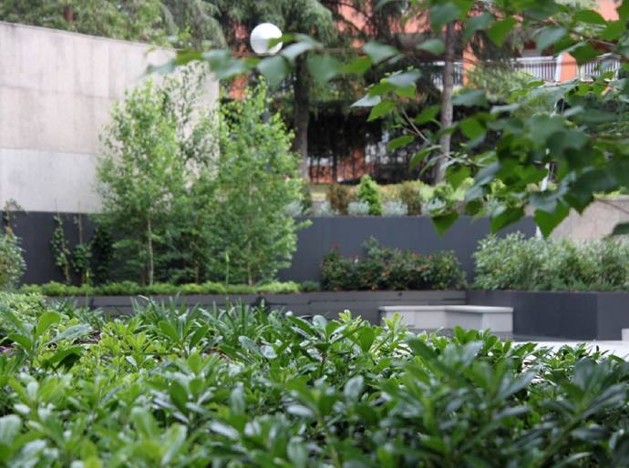 Oficinas y paisajismo 3
