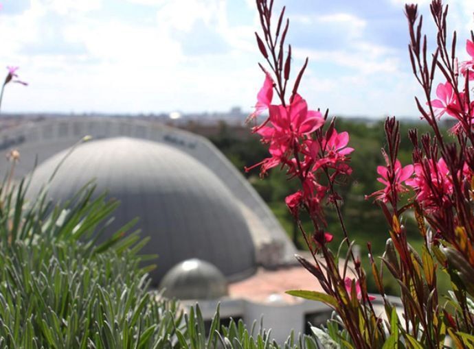 Terraza en Madrid Planetario